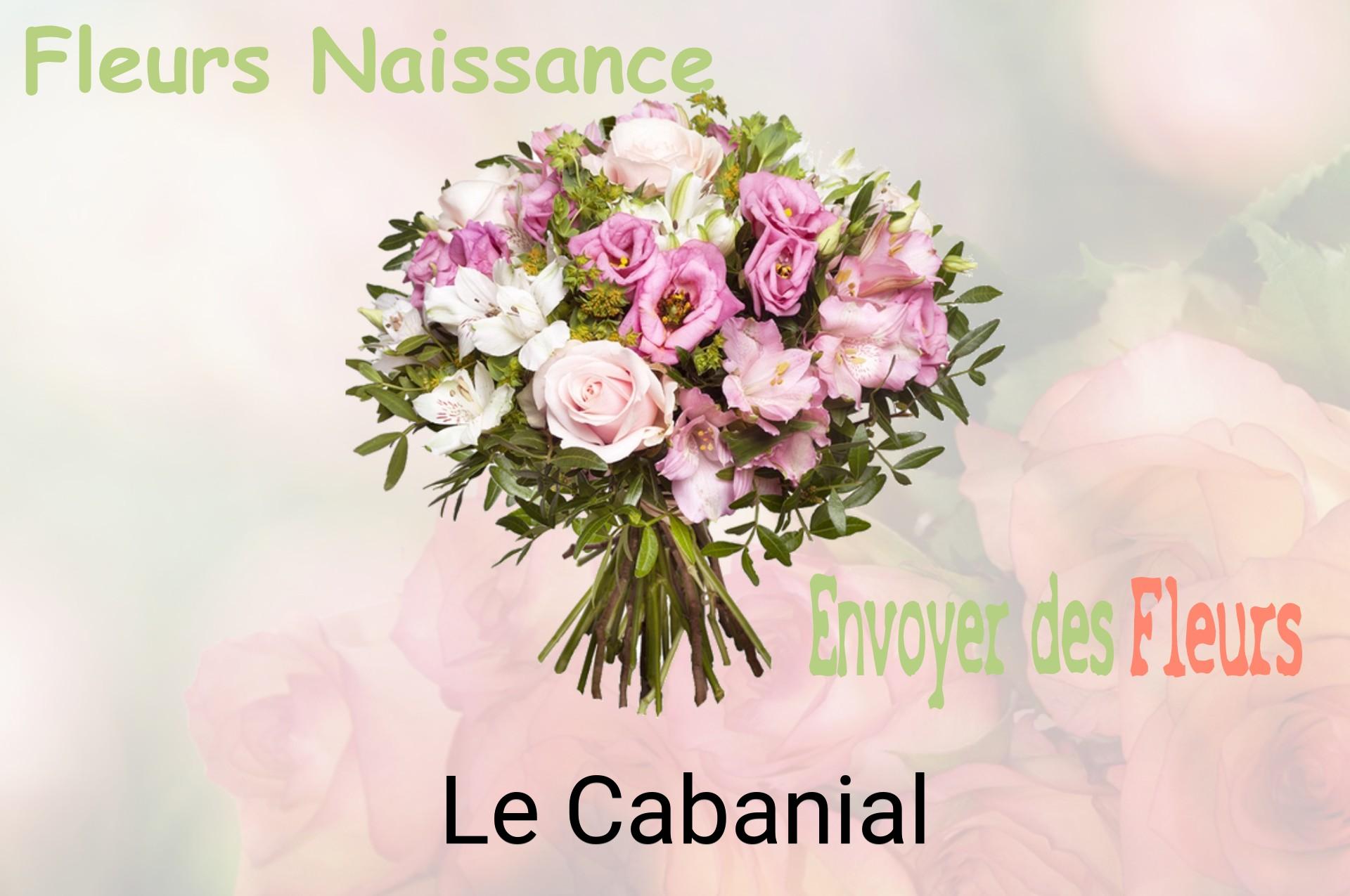 Bouquet de fleurs de naissance livré à Le Cabanial