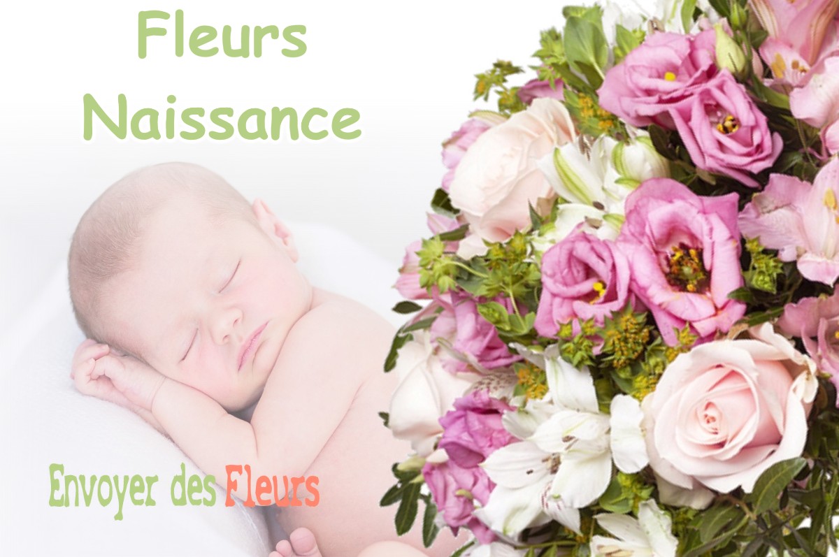 lIVRAISON FLEURS NAISSANCE à LE-CABANIAL